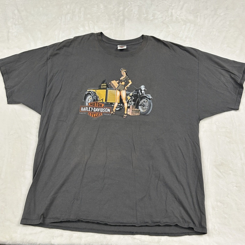Harley-Davidson Graphic T-Shirt Mens 3XL Gray Myrtle Beach Pinup Pirate